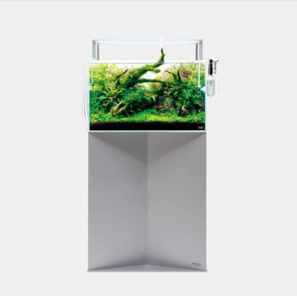 ADA Cube Garden 60-P (60x30x36cm / 6mm) | The Arium Shop